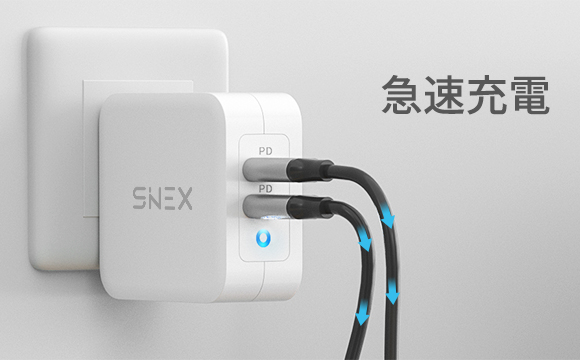 SINEX PD100W充電器 日本